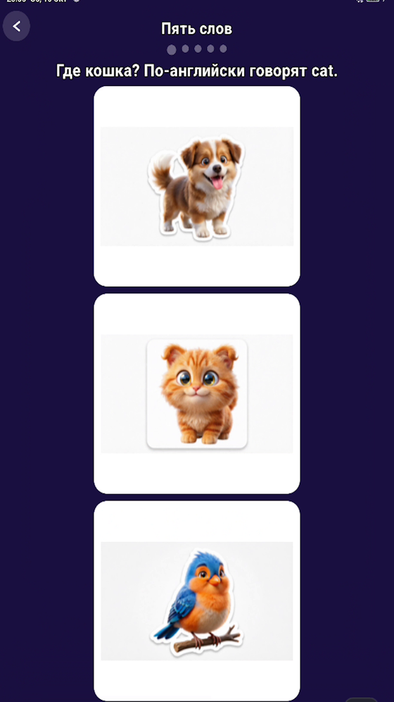 Игра «Пять слов»: где кошка, по-английски cat